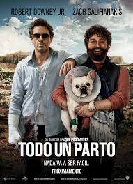 Todo Un Parto (2010) poster